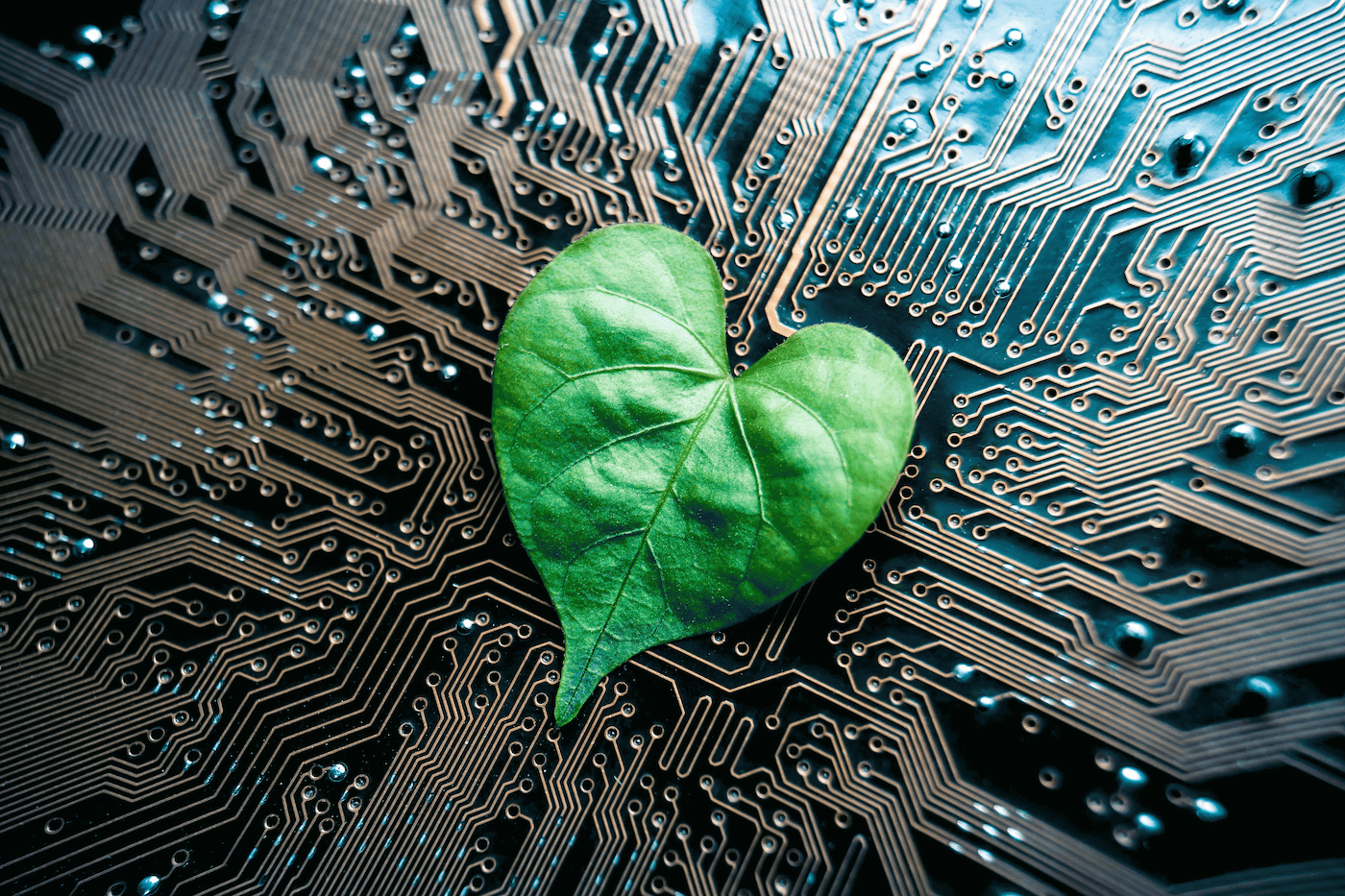 Green-IT 